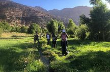 Marrakech: 2-Day Atlas Mountains Trek with Village Stay