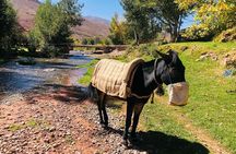 Marrakech: 2-Day Atlas Mountains Trek with Village Stay