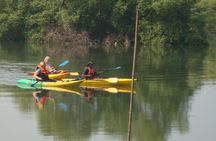 Goa Kayaking Spike's Salonia Backwaters Kayaking Experience