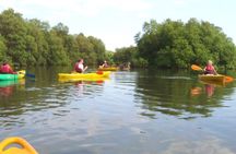 Goa Kayaking Spike's Salonia Backwaters Kayaking Experience