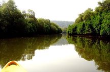 Goa Kayaking Spike's Salonia Backwaters Kayaking Experience