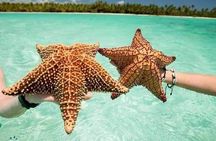 Saona Island Tour from Punta Cana All Inclusive