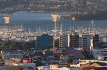 Auckland Private City Tour. Cruise port or Hotel pick up.