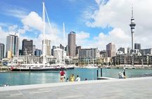 4 Hours Private Tour in Auckland 