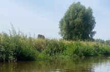 Guided Bike Tour through the Dutch Countryside in Noord- Holland