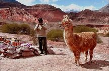 Tour to the magical town of Cachi in the Calchaquíes Valleys!
