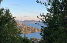 3-Hour Private Norwegian Hiking Experience with Local Guide