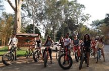Coffee and Gastronomic Bike Tour in Antigua