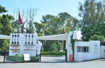 Casablanca Half-day guided tour