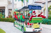Party Bike Experience on Grace Bay Road