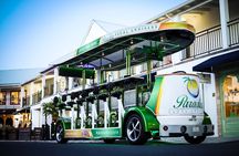 Party Bike Experience on Grace Bay Road