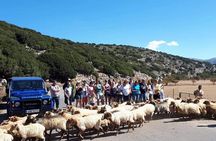  4x4 Safari tour Southern Crete Tripitis Gorge