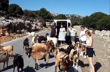 4x4 Safari Tour South Crete Agiofarago Matala