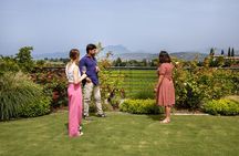 Bardolino Wine Experience