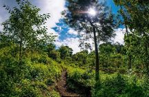 Quetzal Quest Birdwatching Adventure at Rey Tepepul Lookout