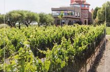 Vineyard, tour, tasting and fun in San Miguel de Allende 