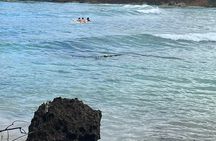 Surfing and Motorized Canoeing Private Tour in Jamaica