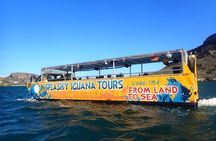 Splashy Iguana Tour in Curacao