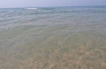 Beach day Sandbanks Provincial Park