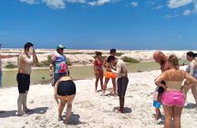 Full Day Tour to Coloradas & Rio Lagartos