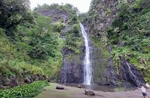 Private Full Day in Papeete and Tahiti Iti with Belveder Lookout