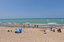 Full-Day Beach Day at Grand Bend