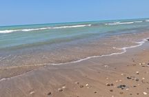 Full-Day Beach Day at Grand Bend