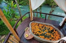 Traditional Bali Massage Lulur & Spa Treatment 2 Hours
