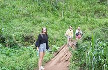 Day trip Materuni Waterfalls and Coffee Tour 
