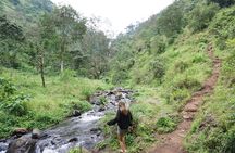 Day trip Materuni Waterfalls and Coffee Tour 