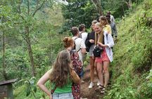 Day trip Materuni Waterfalls and Coffee Tour 
