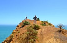 Great Ocean Road - Private Discovery Tour