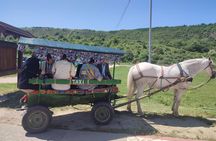 Tour to Old Orhei &Cave Monastery &Cricova cellar tour tasting