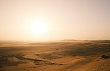 Personalized Safari Experience in the Desert