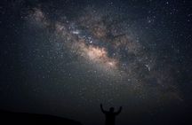 Personalized Safari Experience in the Desert