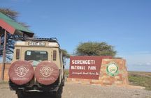 5 Days Arusha to Tarangire, Ngorongoro and Serengeti Safari