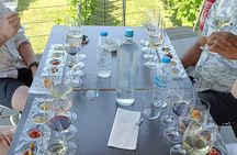 Wine Tasting Experience from Thessaloniki
