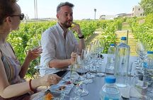 Wine Tasting Experience from Thessaloniki