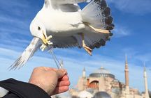 ISTANBUL BEST : Iconic Landmarks FullDay Private Guided City Tour