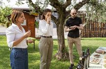 Lake Garda Olive Oil Tour and Tasting Experience