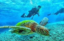 Two Tank Dive in Montego Bay w/Certified Divers