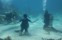 Two Tank Dive in Montego Bay w/Certified Divers