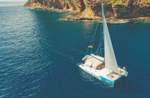 Fullday Catamaran Cruise to Islands & Snorkeling at Coin de MIre