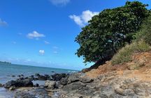 Paddle boarding and hiking adventure at Mokoli'i Island.