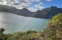 Paddle boarding and hiking adventure at Mokoli'i Island.