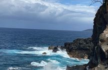  Waipi’o on Horseback: Mountain Ocean Views Working Cattle Ranch