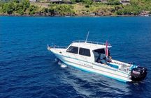 3 Epic Dives in Nusa Penida - Certified Divers' Day Trip