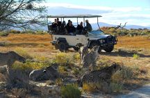 2 Day Inverdoorn Luxury Safari