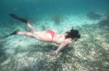 Costa maya ,snorkeling tours on reefs, with fish and sea turtles