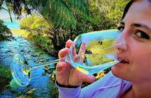 1-Day Cruise in Queen Charlotte Track & Kupes Trail Walk